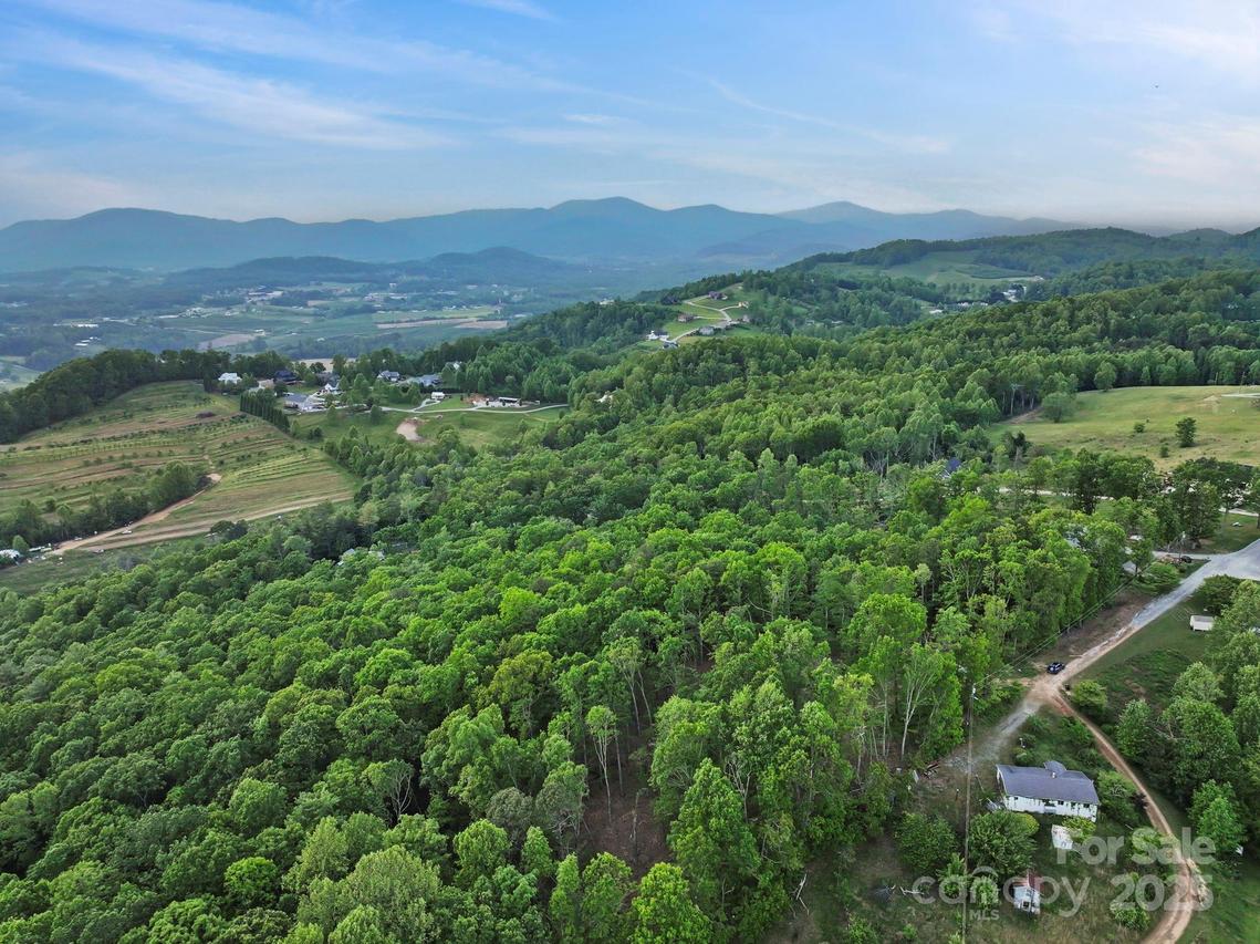 000 Jacks Paw Ln. #8, Hendersonville, NC 28792