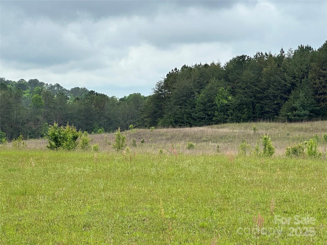 Thompson Rd., Rutherfordton, NC 28139