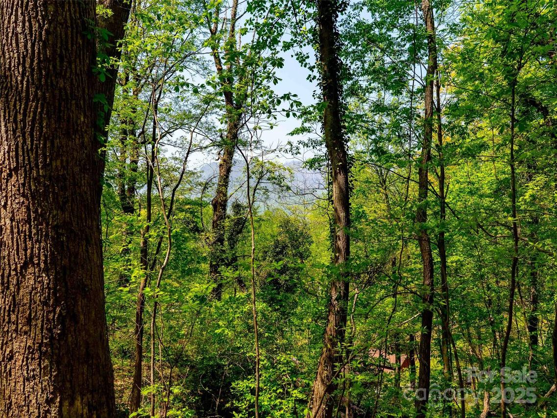 147 Sidney Lanier Dr., Lake Lure, NC 28746