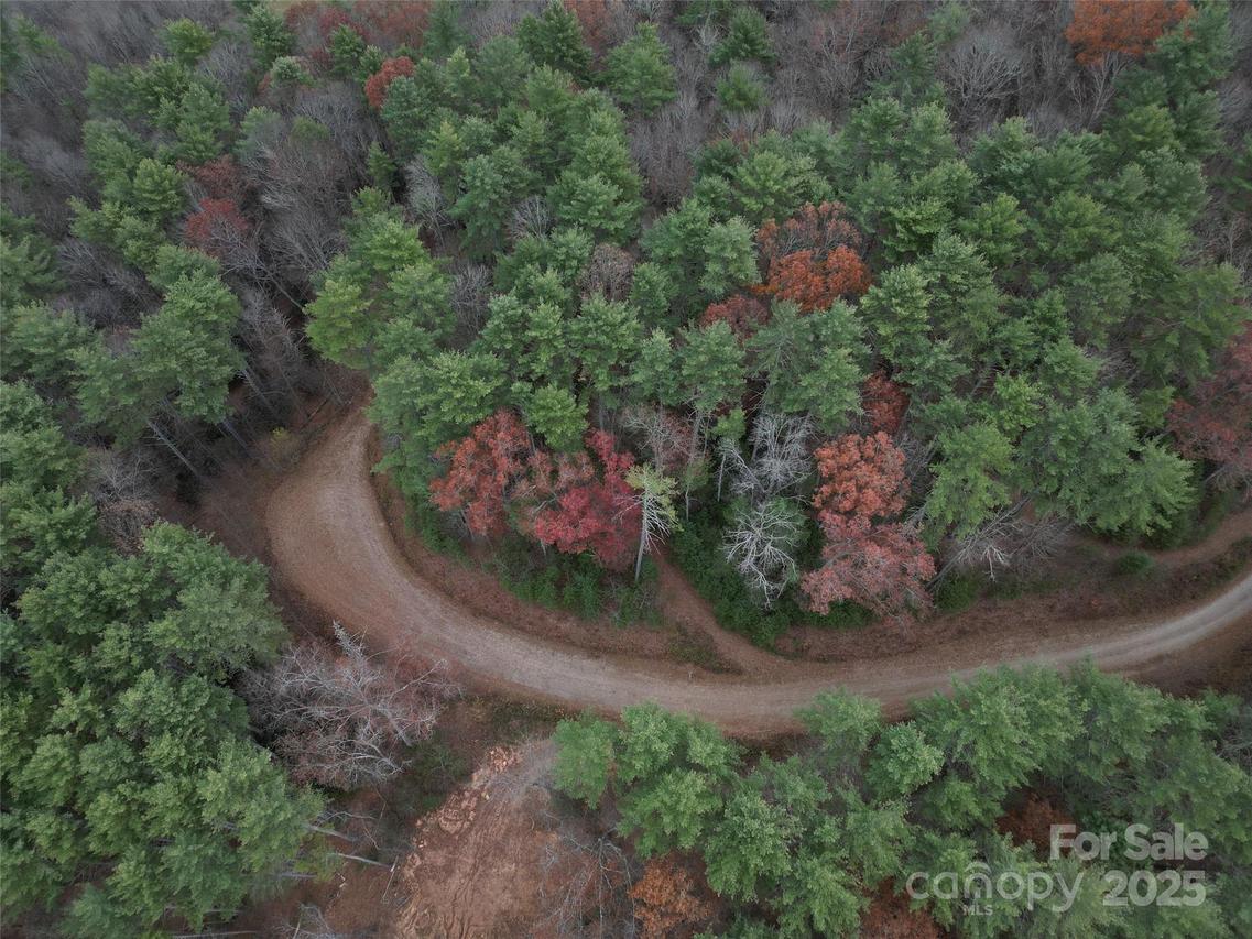 13 Wildlife Dr., Clyde, NC 28721