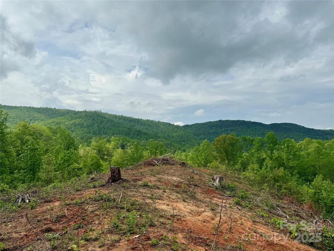 Camp Creek Rd., Rutherfordton, NC 28139