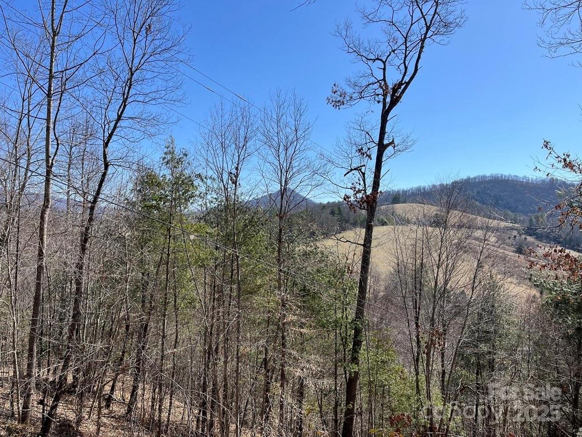 000 Trinity Pl., Burnsville, NC 28714