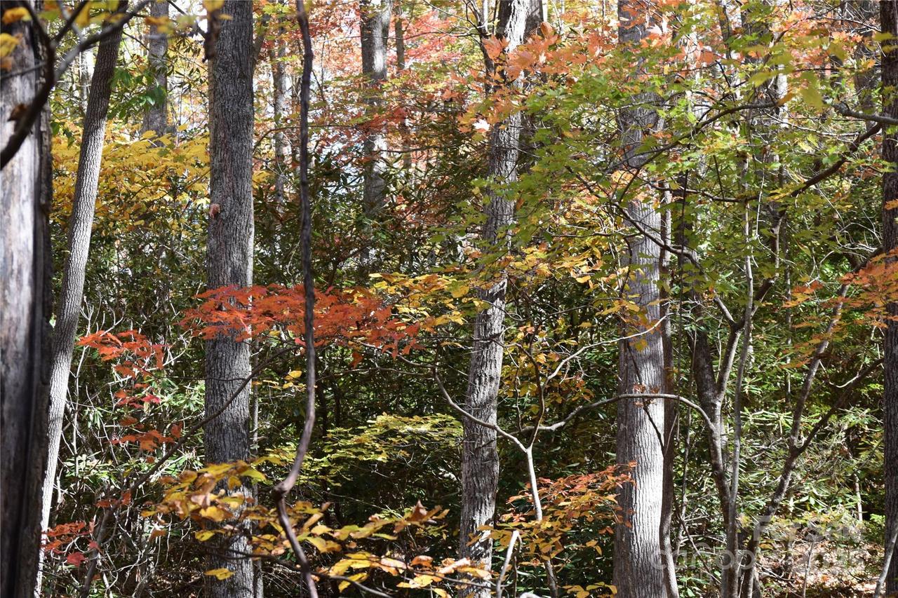 TBD Clear Creek Rd., Burnsville, NC 28714