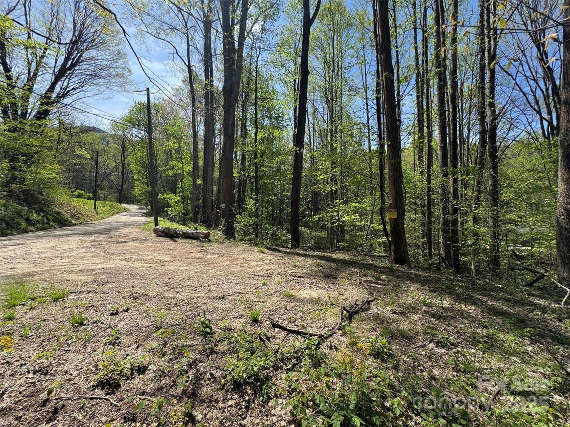 TBD (B) Browning Branch Rd., Waynesville, NC 28786