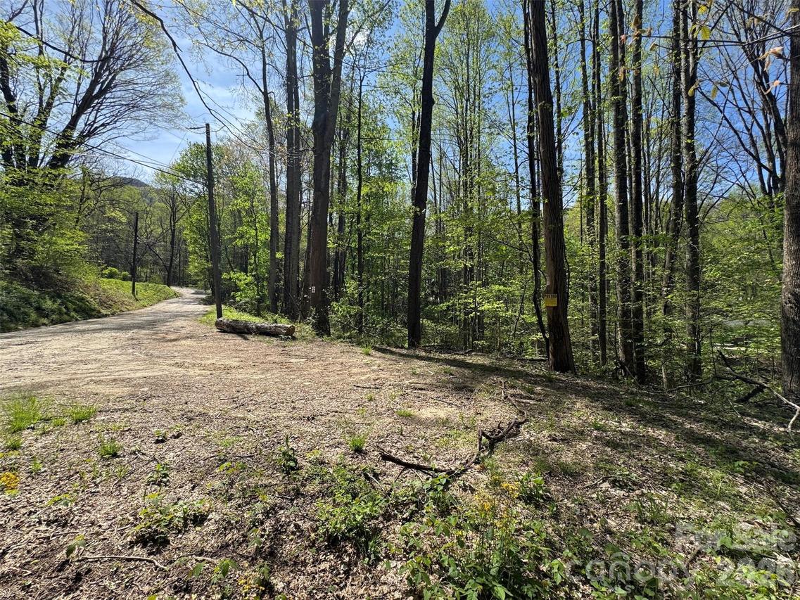 TBD (B) Browning Branch Rd., Waynesville, NC 28786