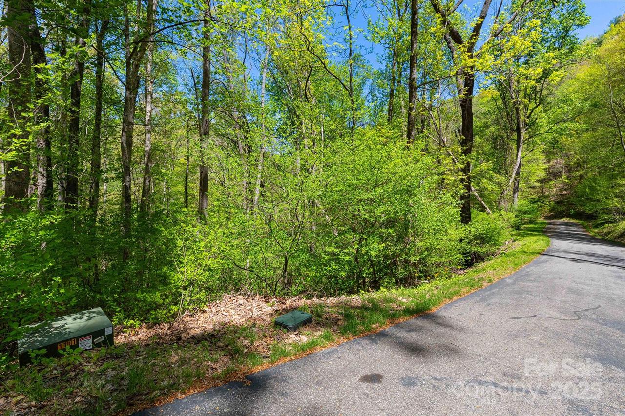 TBD Whispering Woods Path, Mars Hill, NC 28754