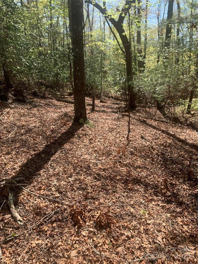TBD Juniper Ln., Brevard, NC 28712