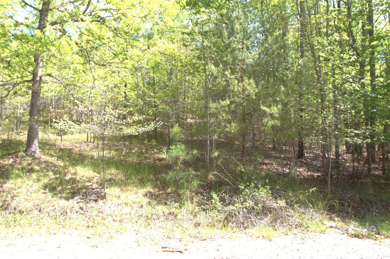 00 Dirksen Ave. #68, Nebo, NC 28761