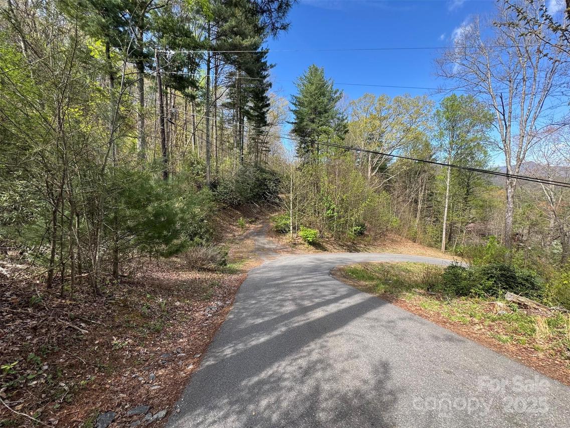 TBD (C) Chestnut Walk Dr., Waynesville, NC 28786