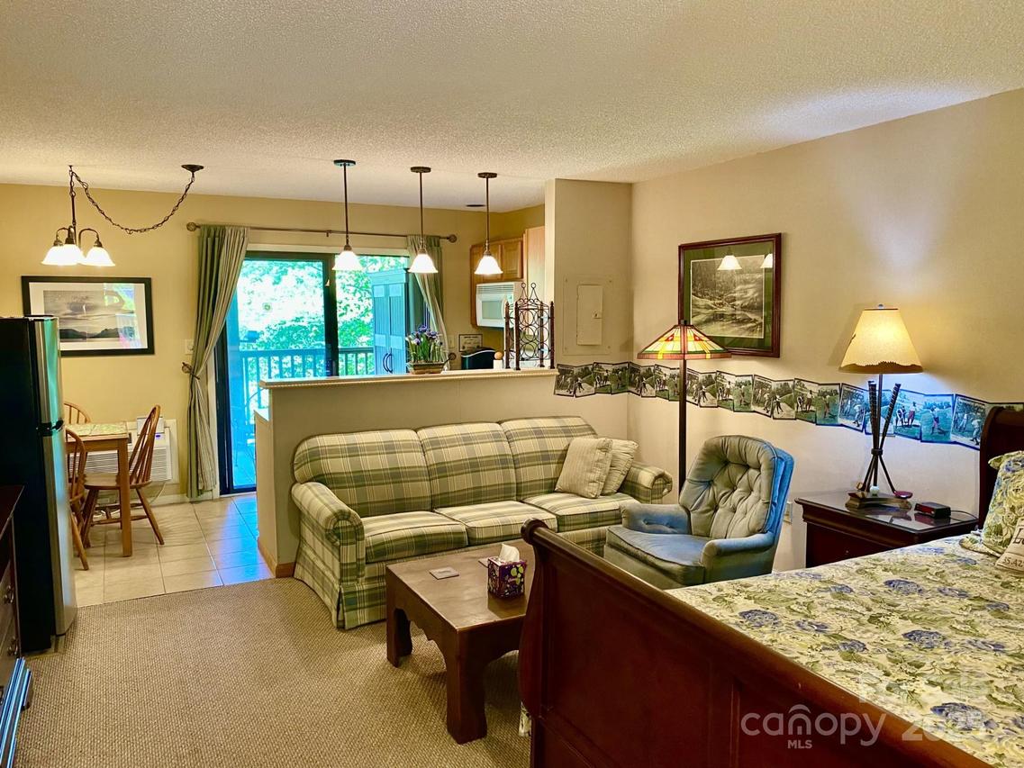 160 Whitney Blvd. #55, Lake Lure, NC 28746