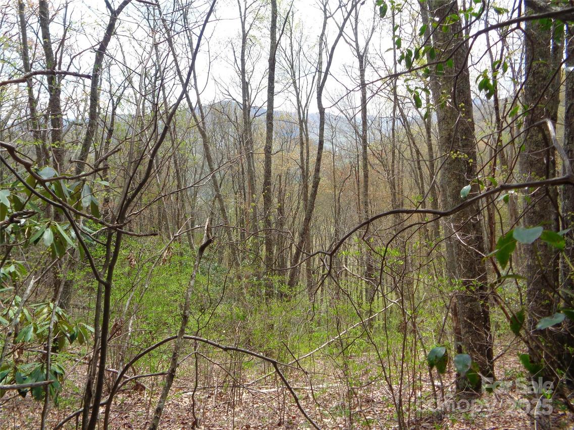 00 Bent Tree Rd., Maggie Valley, NC 28751