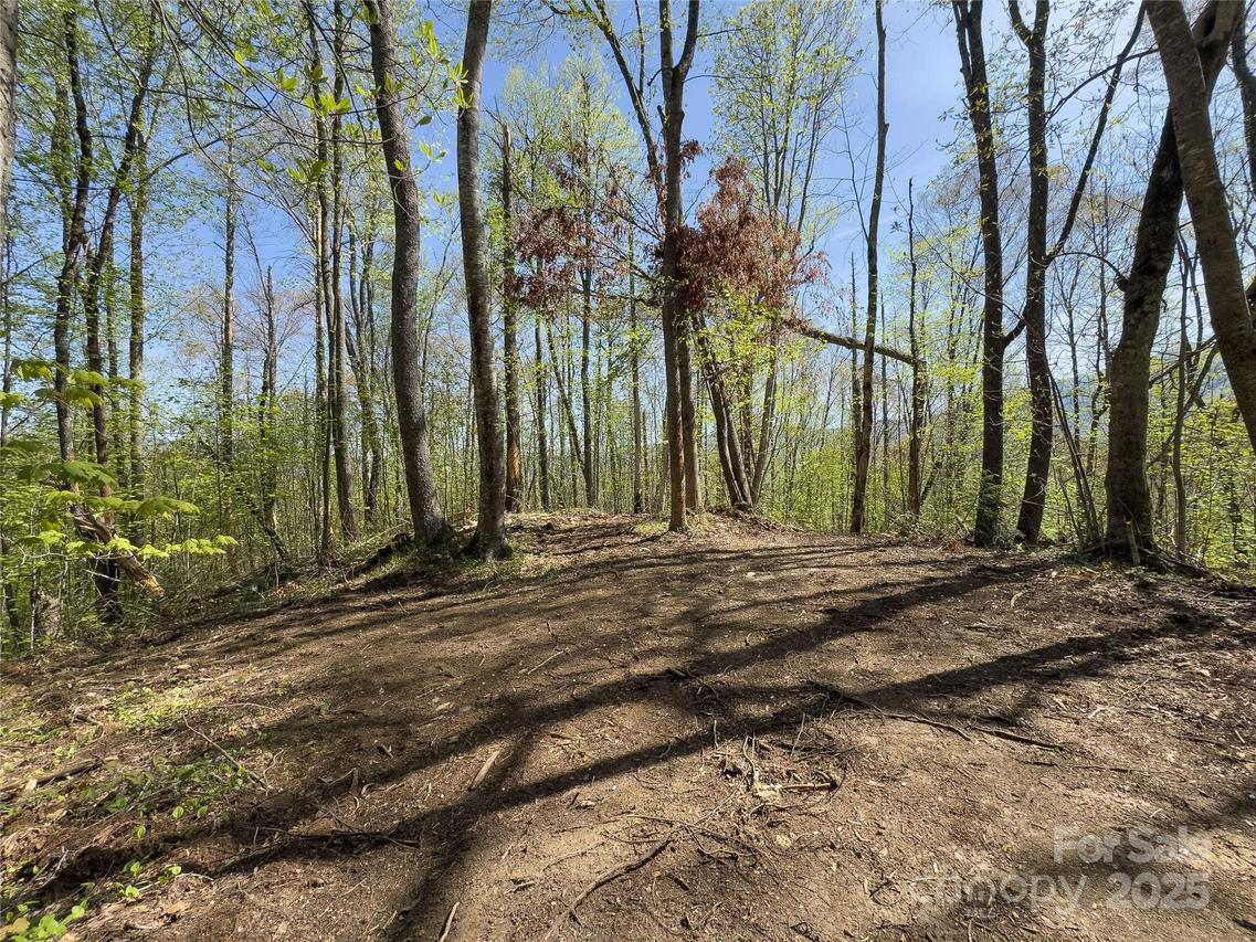 Lot 64 Big Springs Tr. #64, Qualla, NC 28719