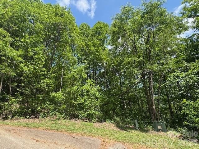 Ragans Pointe #31, Columbus, NC 28722
