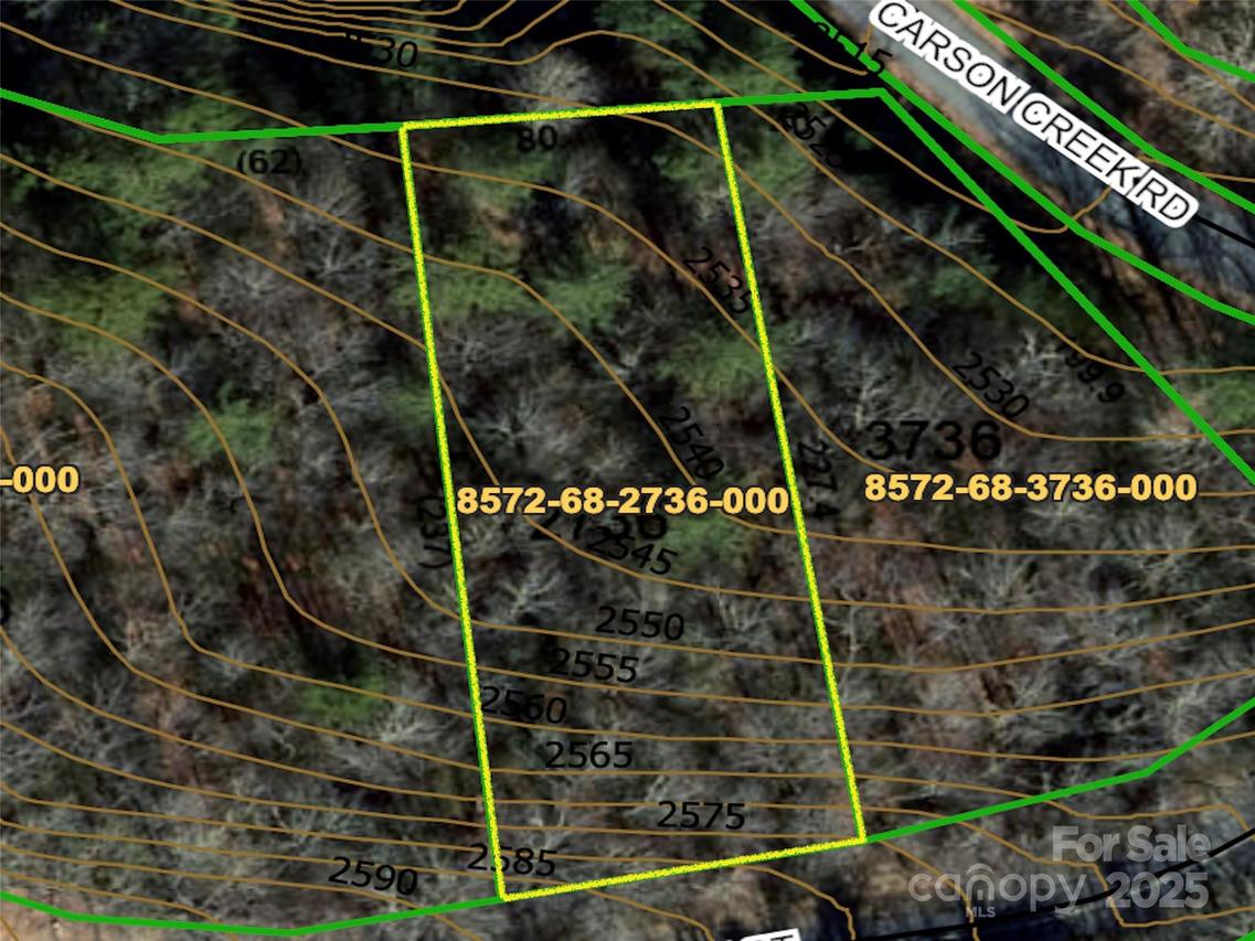 999 Dvdegi Ct., Brevard, NC 28712