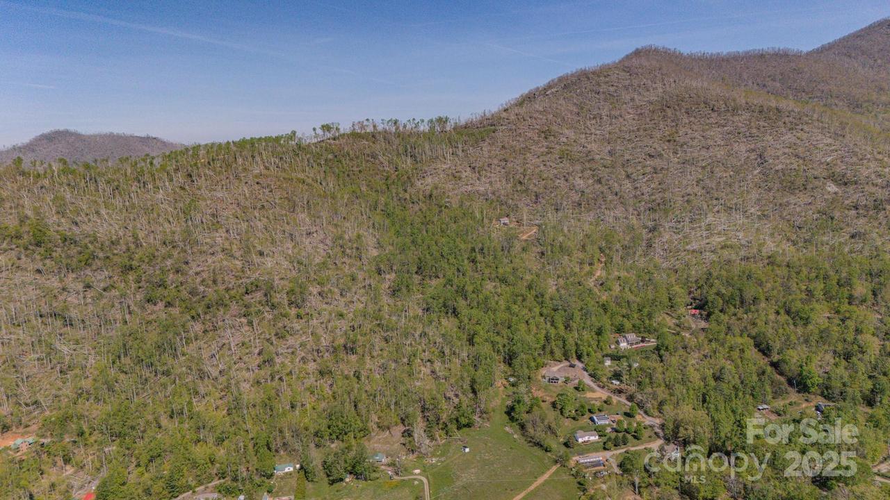 99999 Unicorn Farm Rd., Asheville, NC 28805