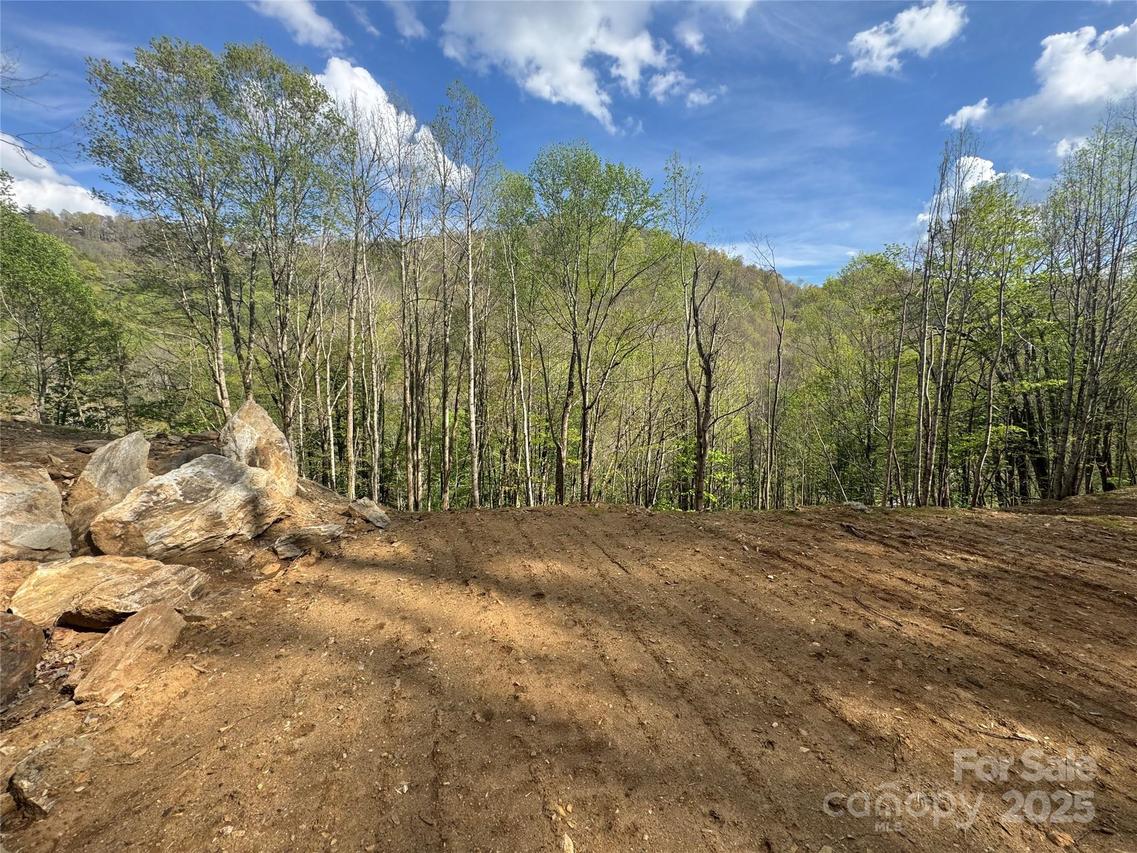 10/11 Thrash Ln., Mars Hill, NC 28754