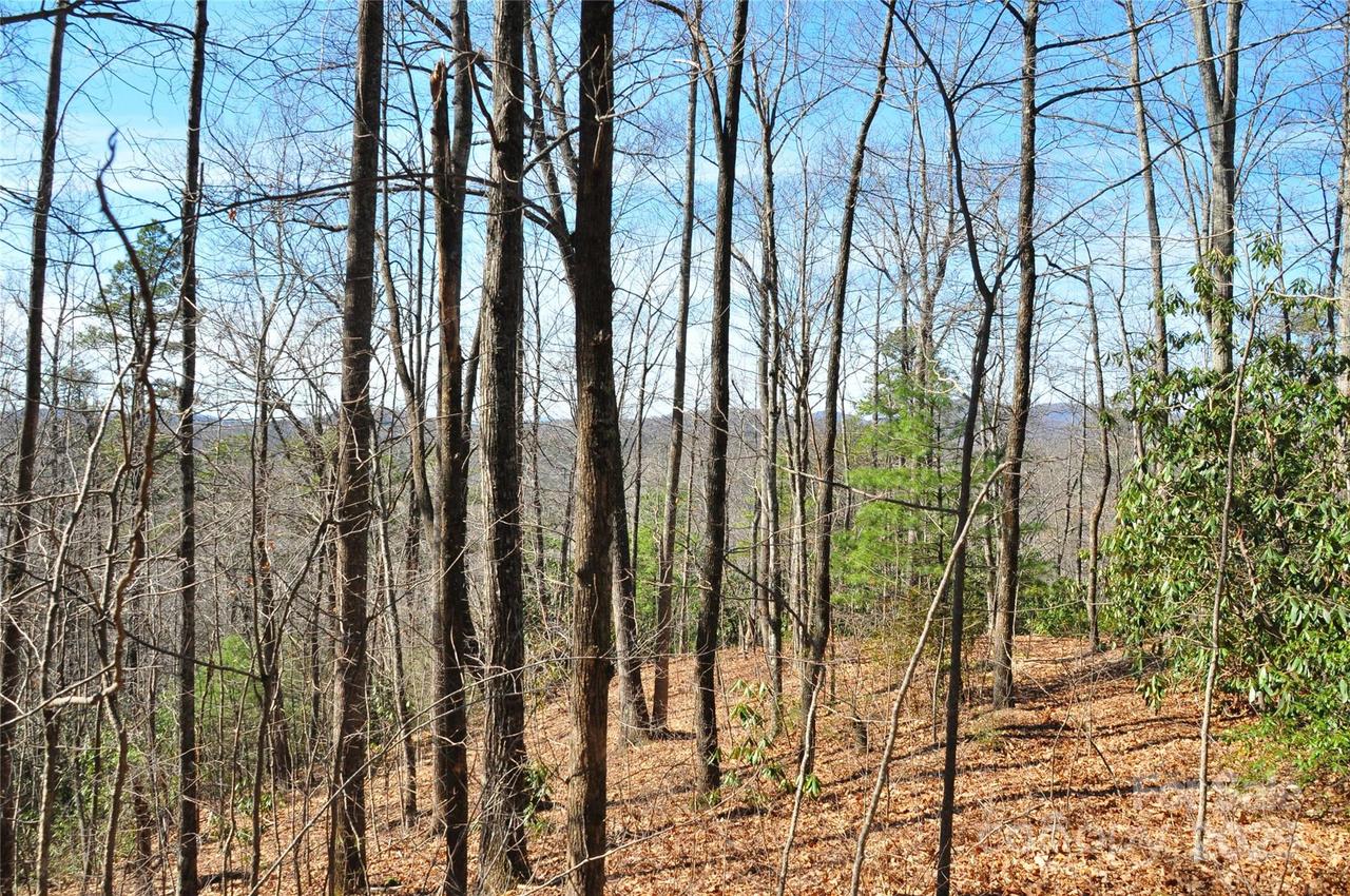 Stoneledge Rd., Hendersonville, NC 28792