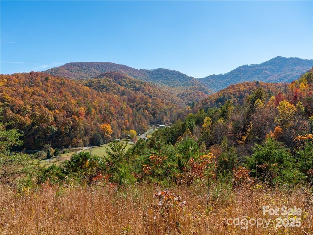 99999 Turkey Creek Rd. #1 & 2, Leicester, NC 28748