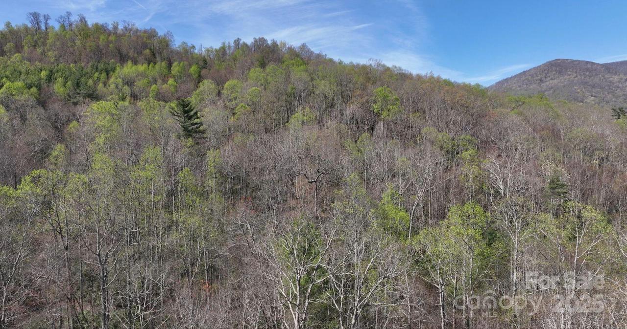 Gusher Knob Rd., Newland, NC 28657