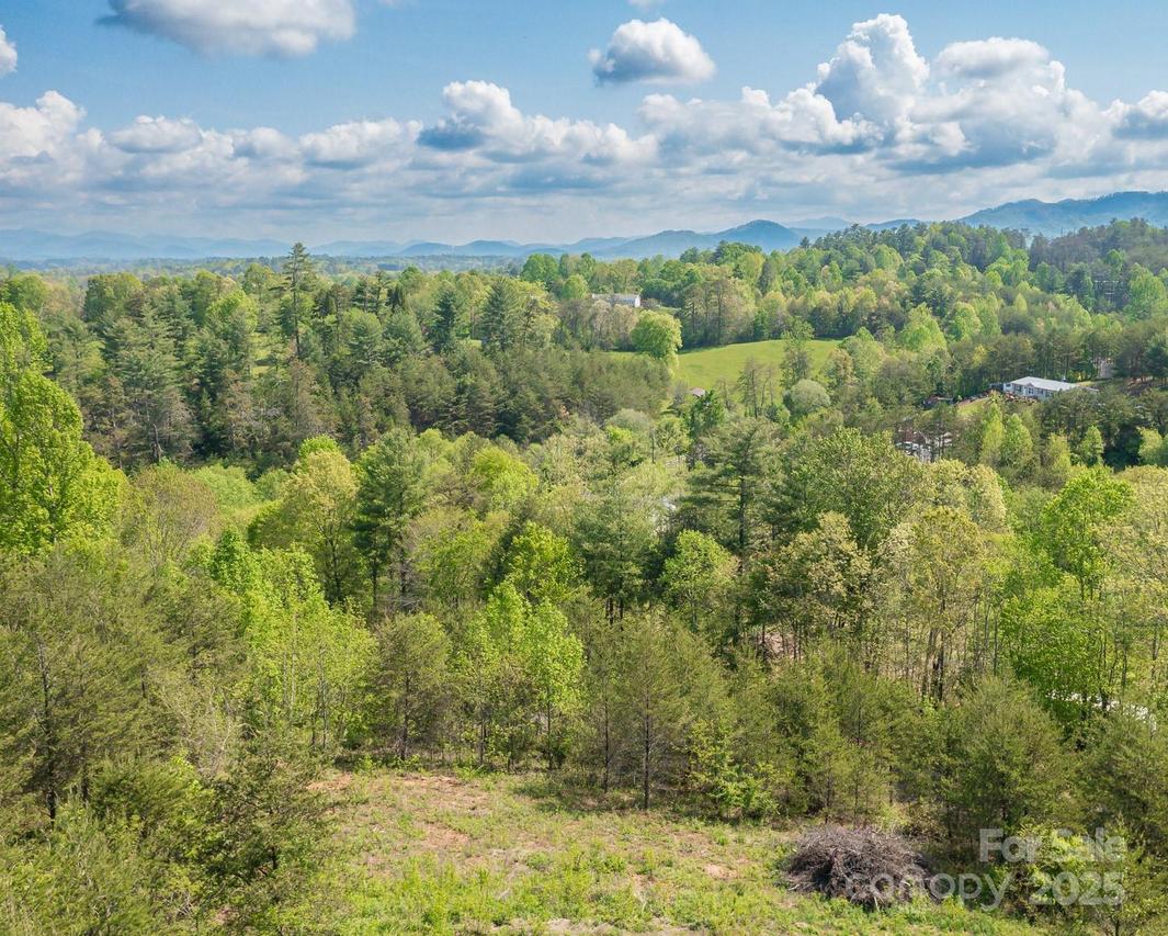 7 Spicebush Ln., Weaverville, NC 28787