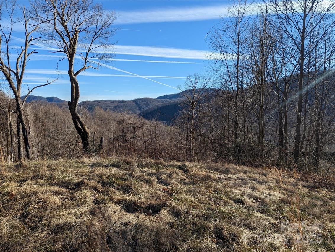 117 Ironwood Ln. #C-20, Black Mountain, NC 28711
