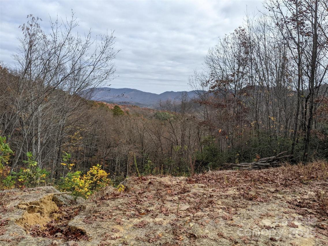 171 Nuthatch Ln. #C-30, Black Mountain, NC 28711