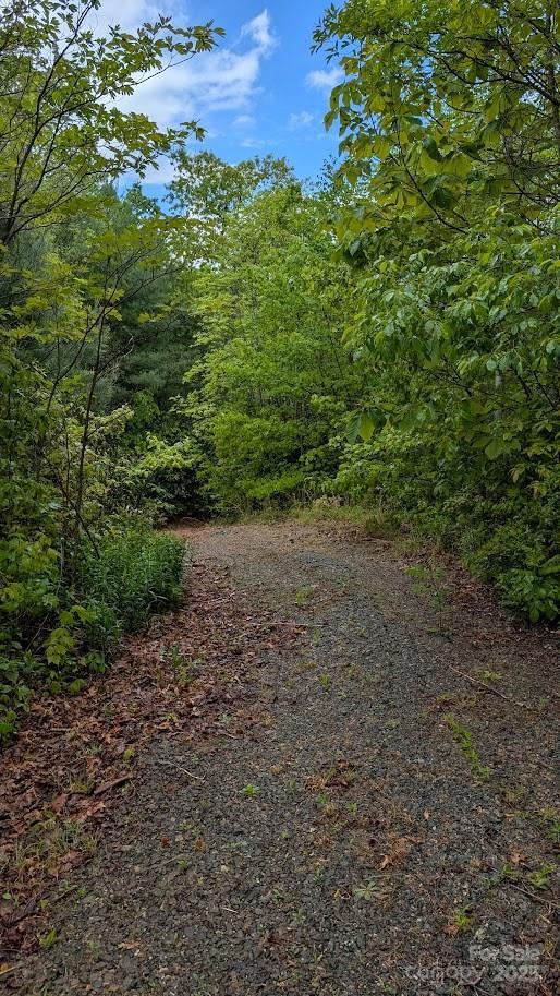 821 Turkey Pen Gap Rd., Horse Shoe, NC 28742