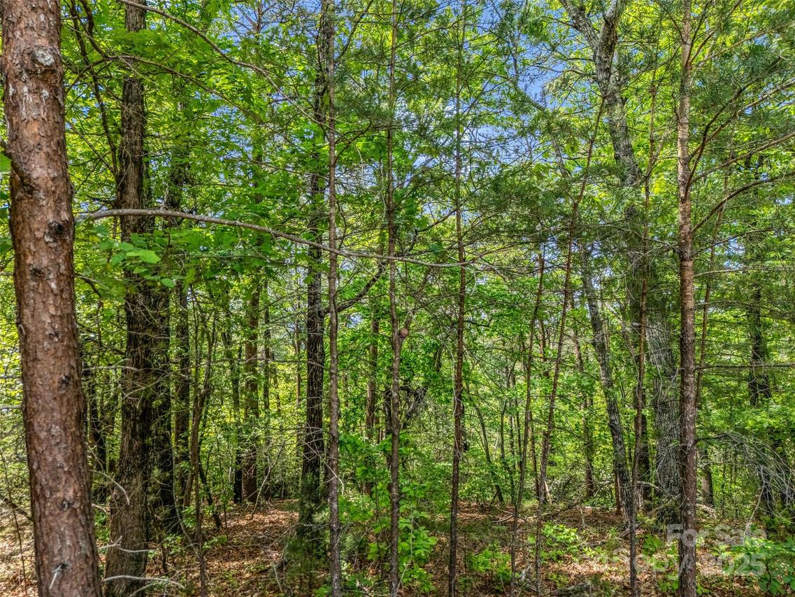 4 Woodward Dr., Mill Spring, NC 28756