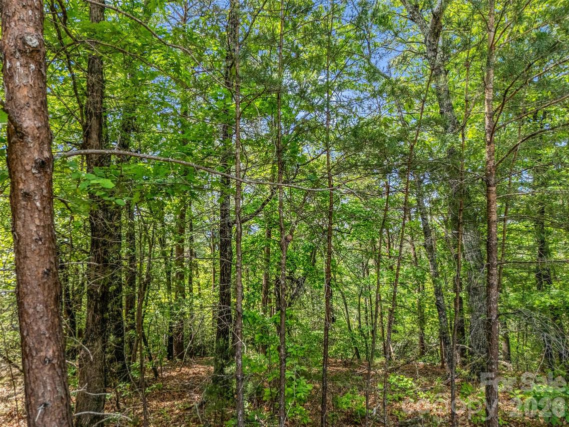 4 Woodward Dr., Mill Spring, NC 28756