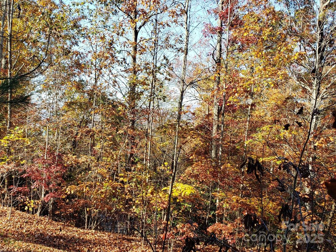 TBD Top Oaks Ln. #Lot 58, Pisgah Forest, NC 28768
