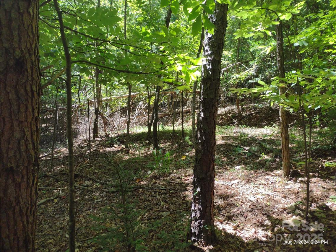 00 Wilkerson Ct. #12, Lake Lure, NC 28746