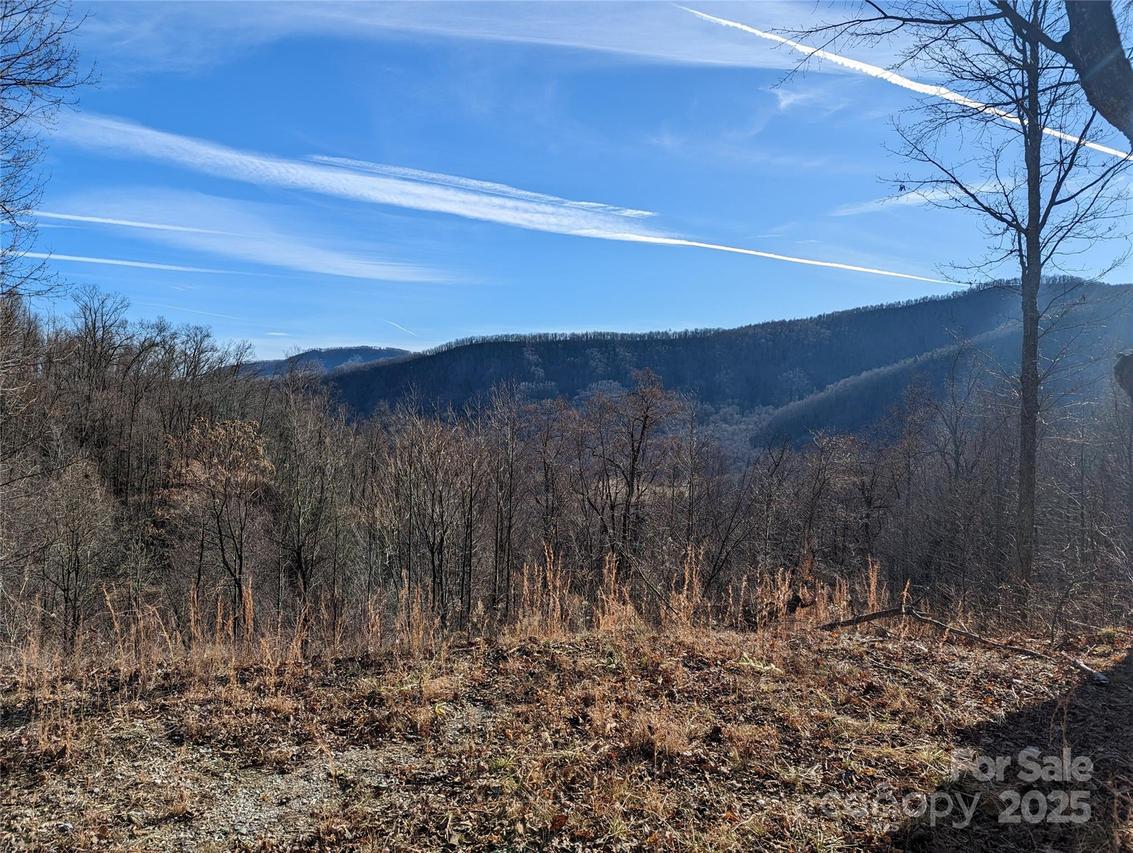 351 Kestrel Ln. #T-67, Black Mountain, NC 28711