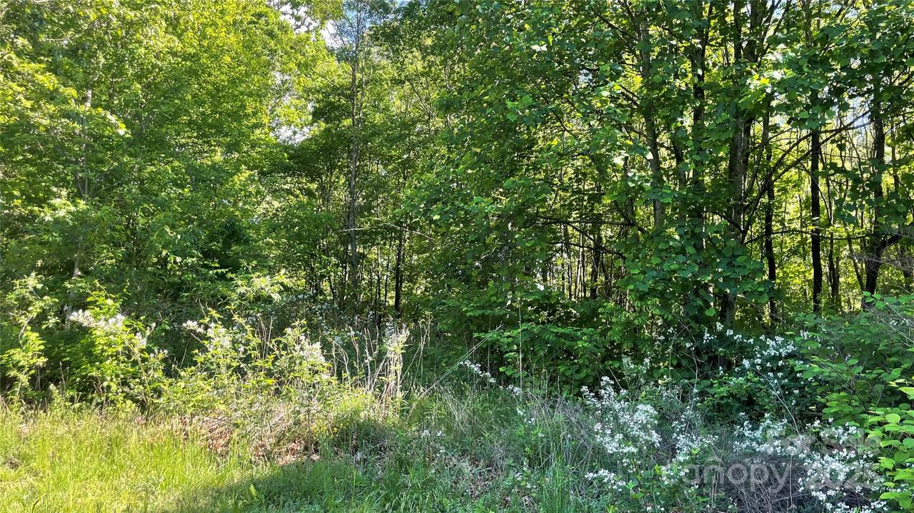 99999 Bachelder Ln., Candler, NC 28715