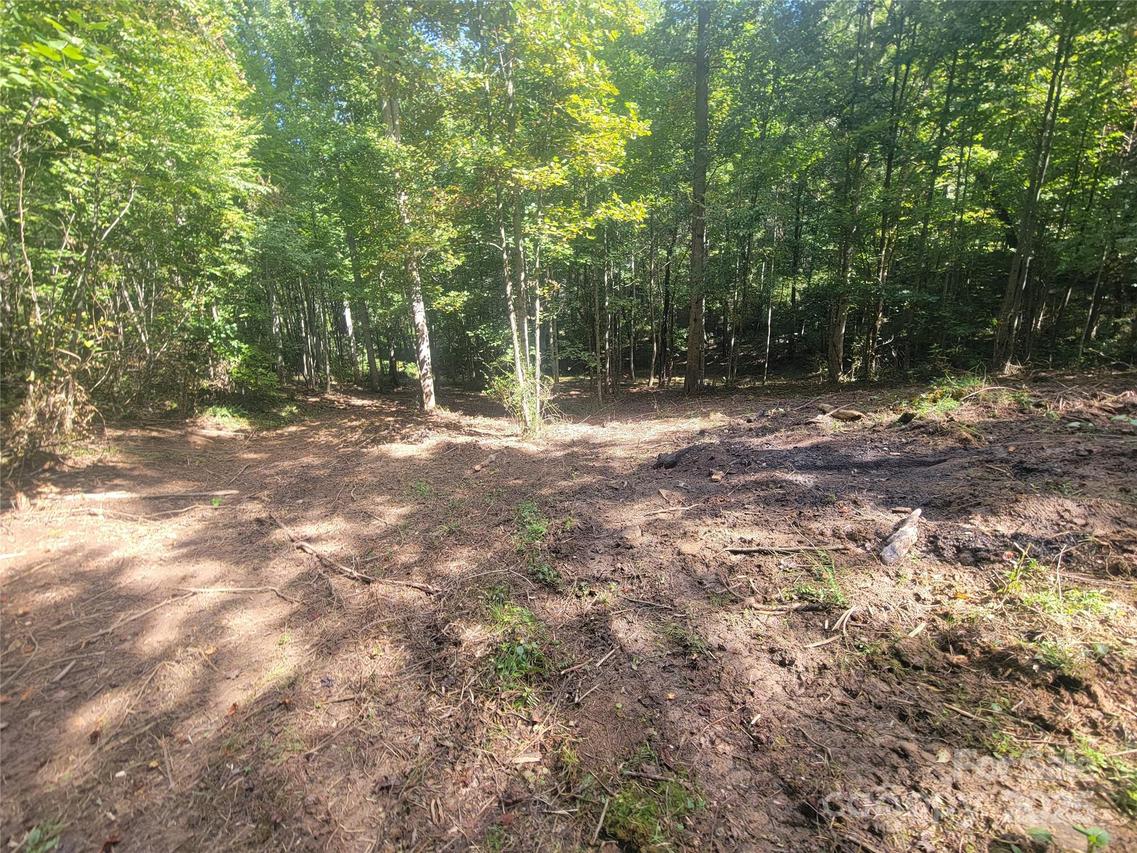 00 Bradford Park #10, Clyde, NC 28721