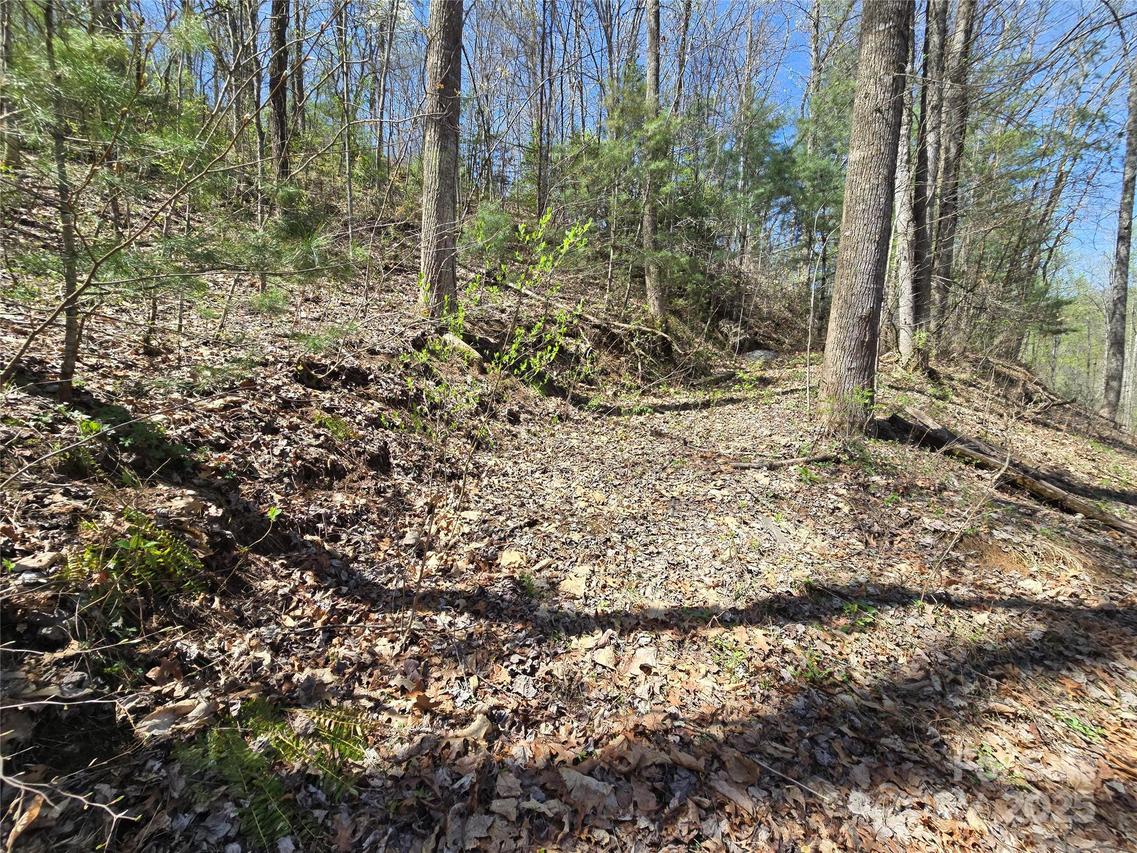 00 Riverside Dr. #33/34, Whittier, NC 28789