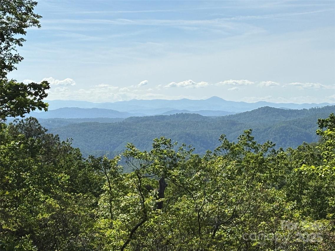 Lot 6 Miller Mountain Rd. #6, Saluda, NC 28773