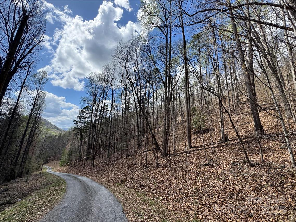 Forest Hills Rd., Bryson City, NC 28713