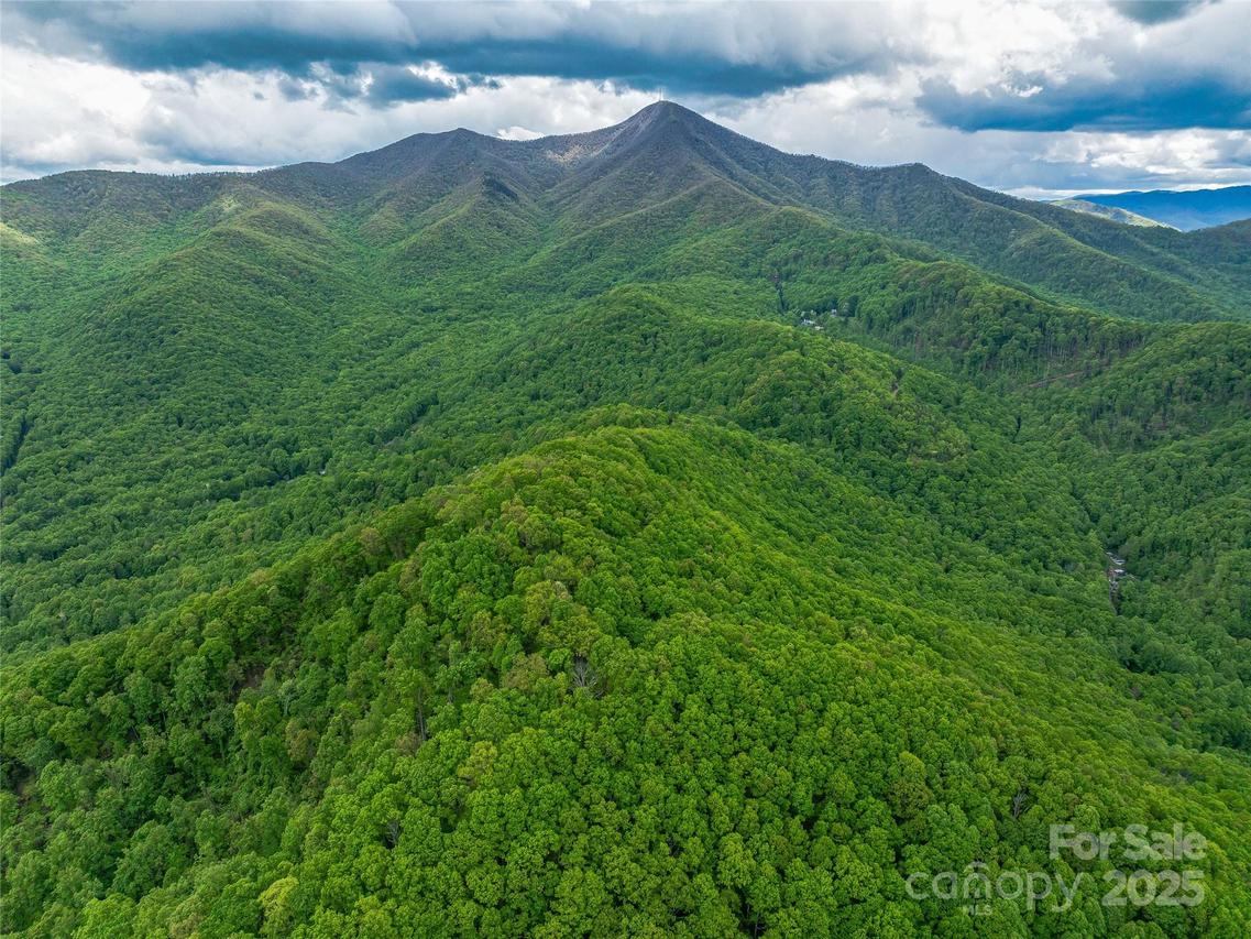 59 Pisgah Mountain Tr., Candler, NC 28715