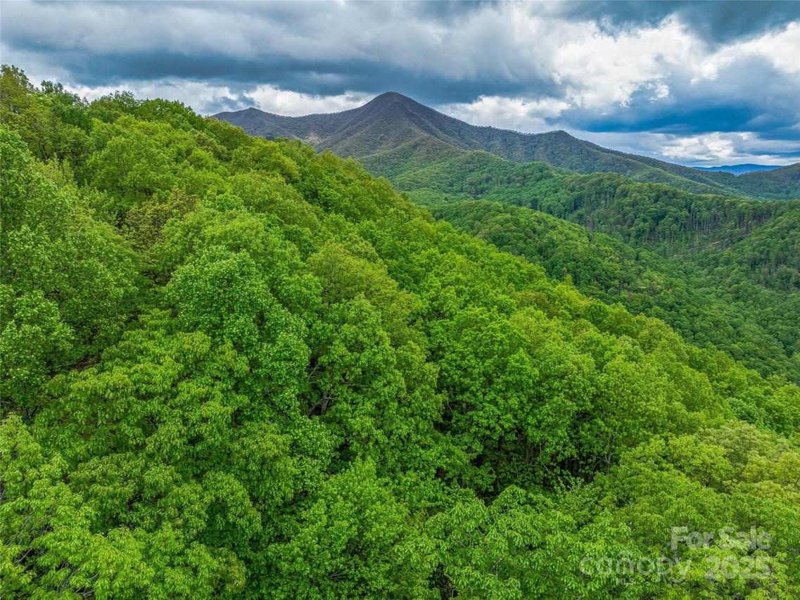 59 Pisgah Mountain Tr., Candler, NC 28715