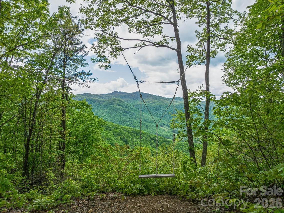 59 Pisgah Mountain Tr., Candler, NC 28715