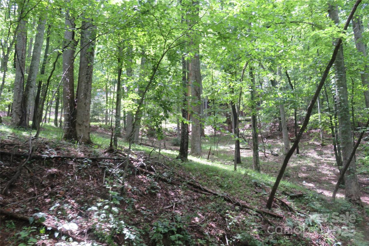 TBD Poplar Dr. #Lot 152, Mills River, NC 28759