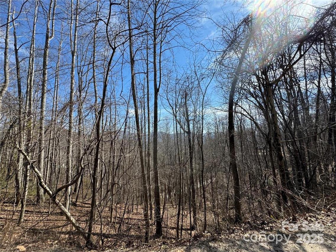 00 Windermere Woods Rd. #7, Franklin, NC 28734