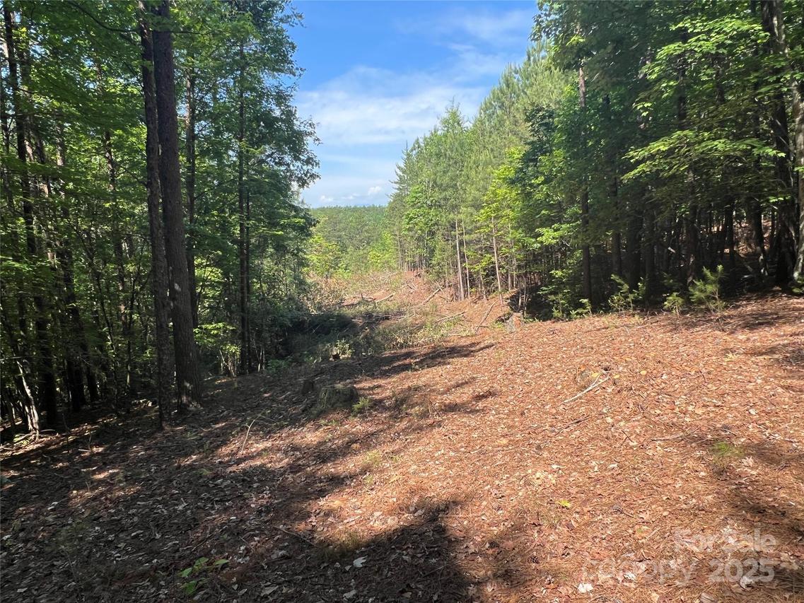 South Mountain Dr. #16, Nebo, NC 28761