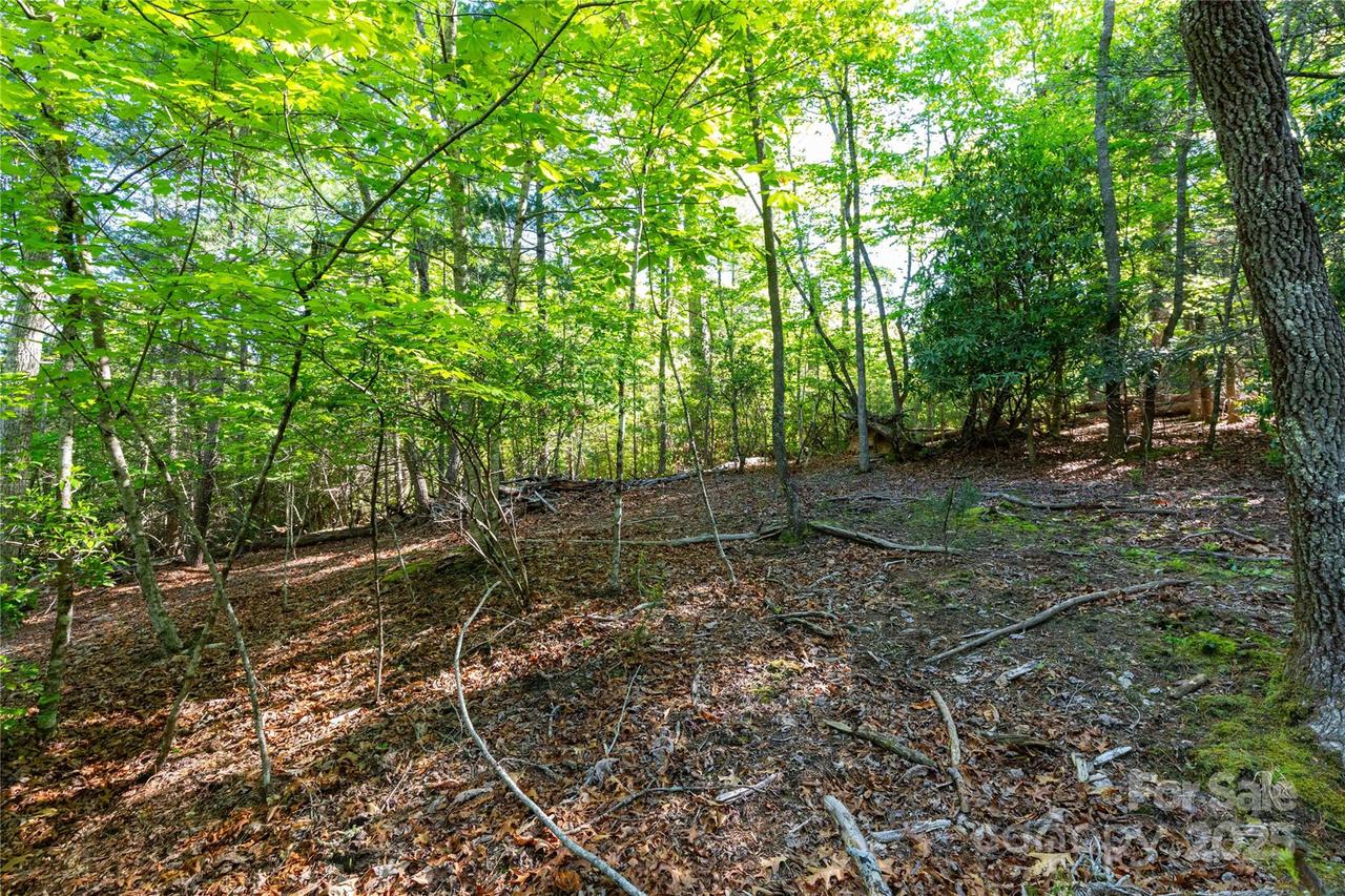 76 Drovers Ln., Fairview, NC 28730