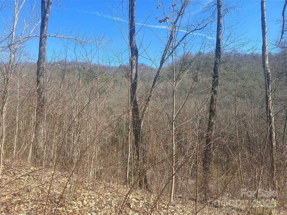 Towaliga Dr. #94, Bryson City, NC 28713