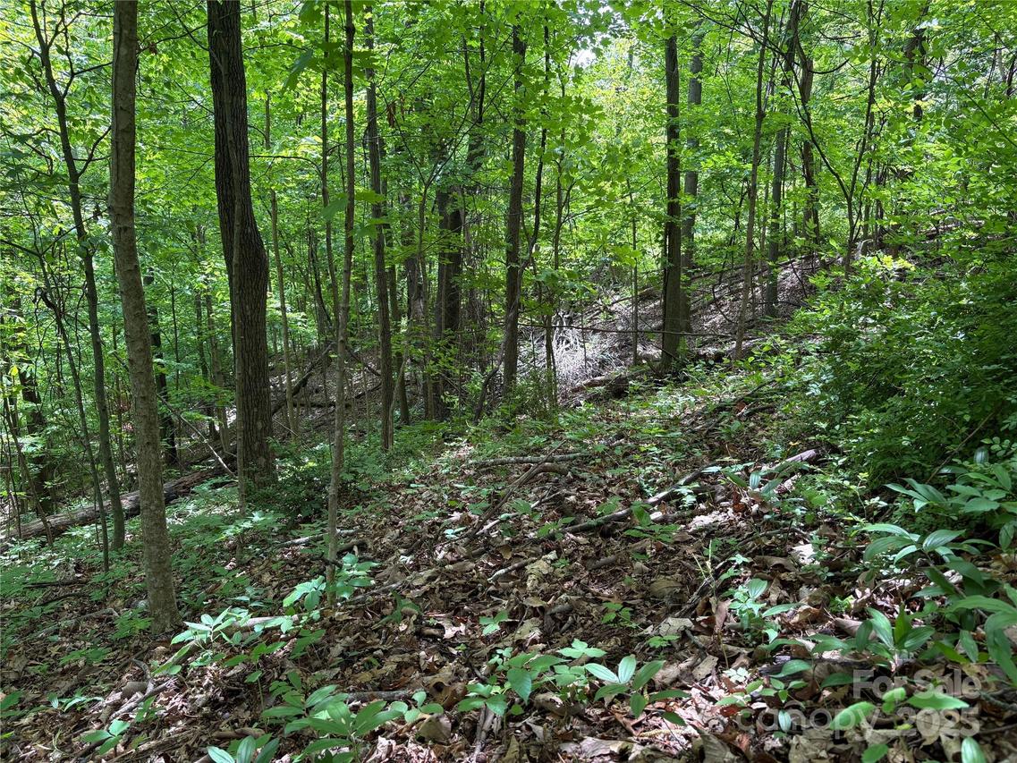 TBD Adams St. #1, Waynesville, NC 28786