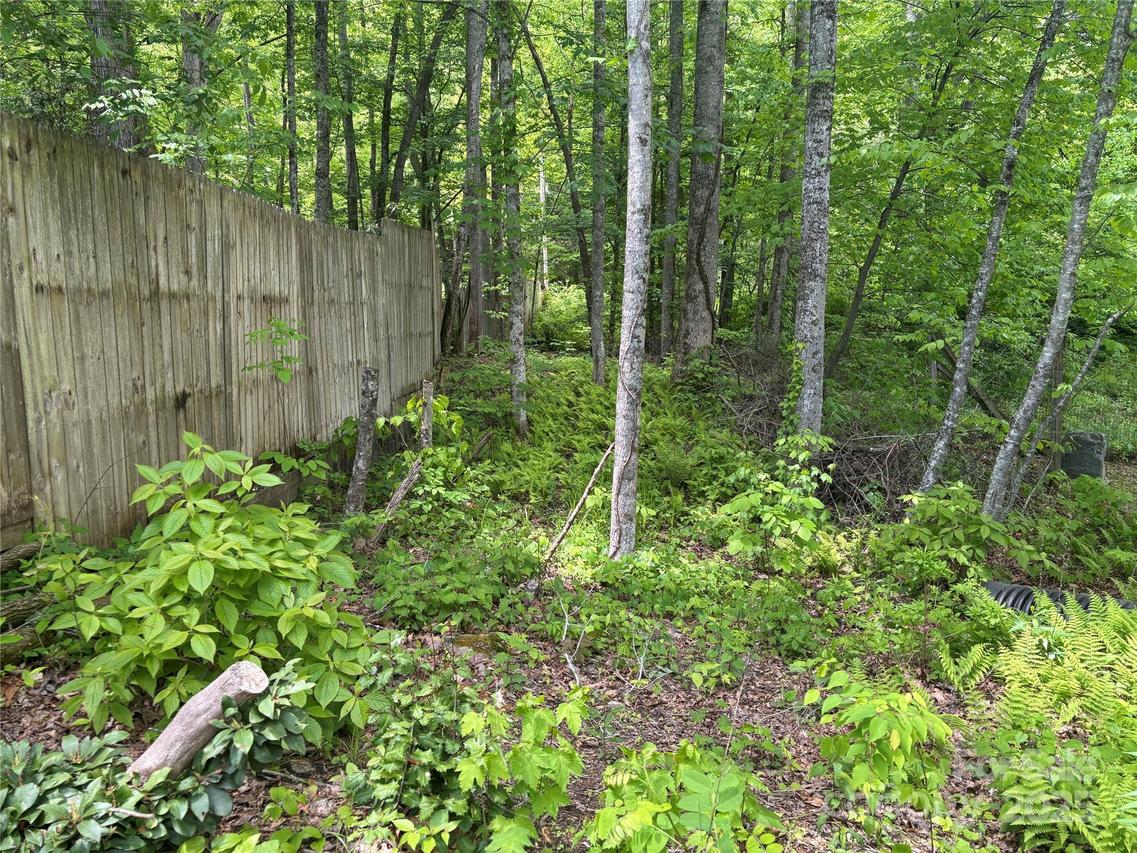 000 Songbird Tr., Waynesville, NC 28785