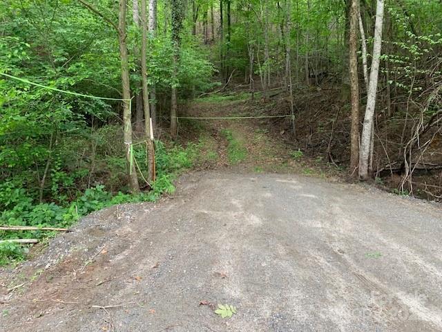 42.16 ACS Green River Cove Rd. #42.162 AC., Saluda, NC 28726