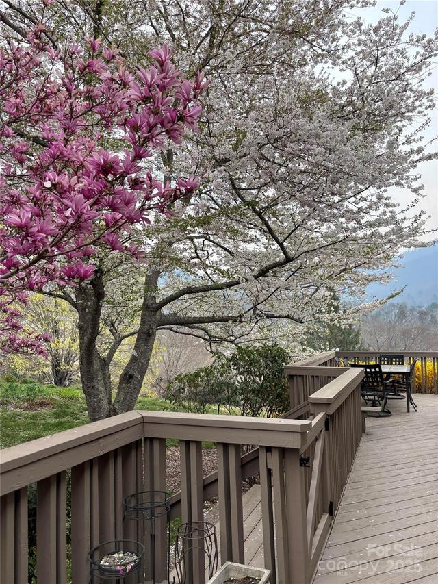 8 Stony Ridge, Asheville, NC 28804