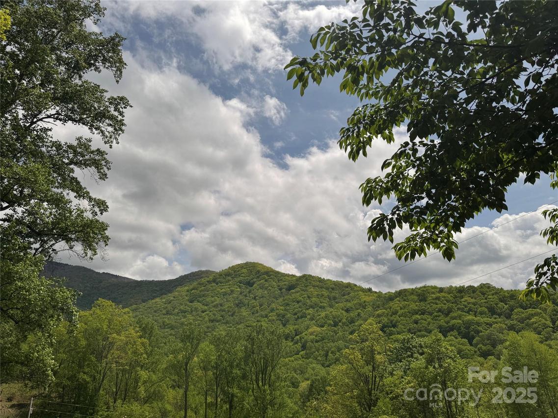 000 Rickman Ridge, Canton, NC 28716